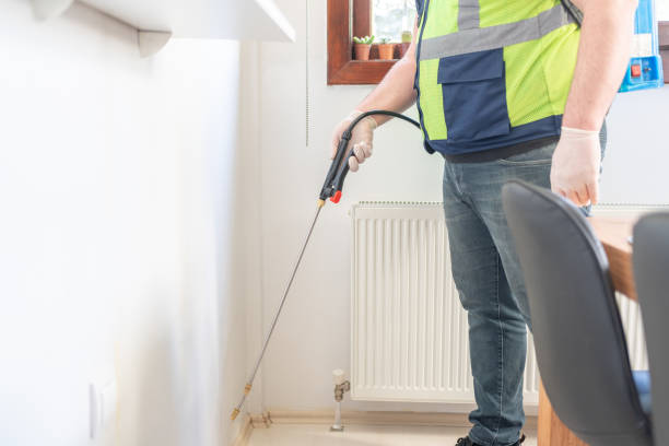 Trusted Walterboro, SC Pest Control Experts